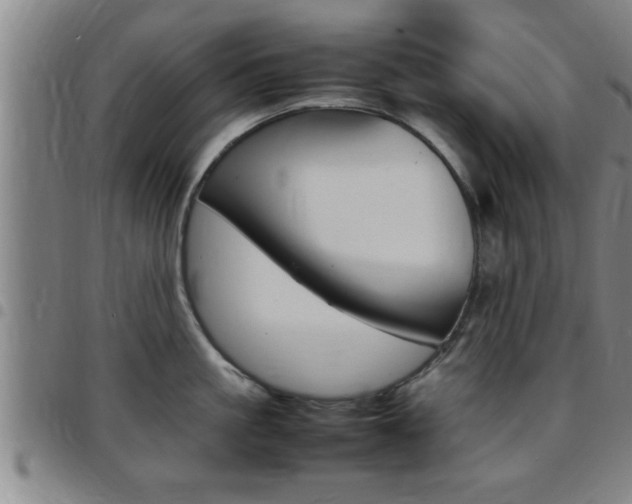 X0000097860861200803140855