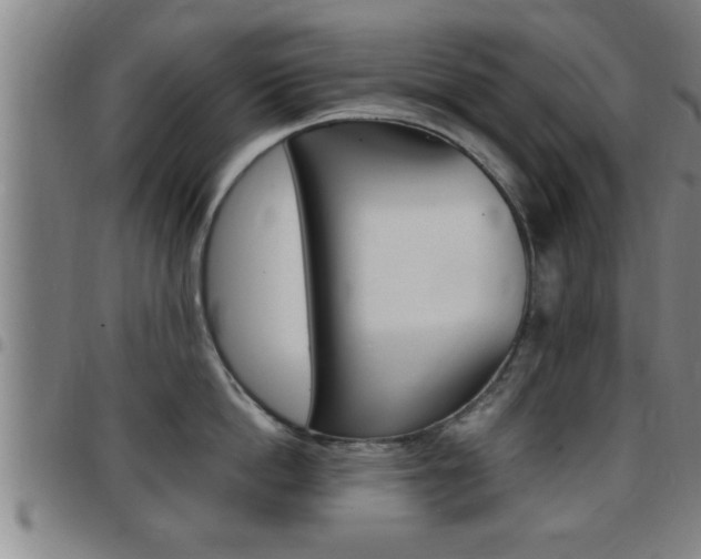 X0000097860862200803140855