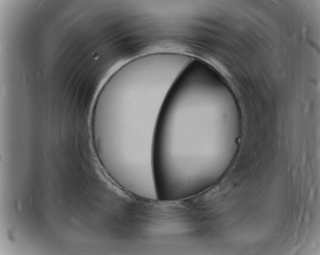 X0000097860864200803140855