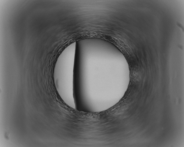 X0000097860865200803140854