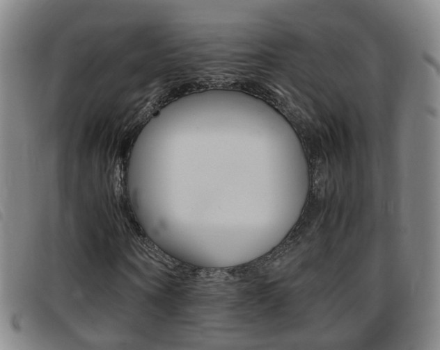 X0000097860866200803140854