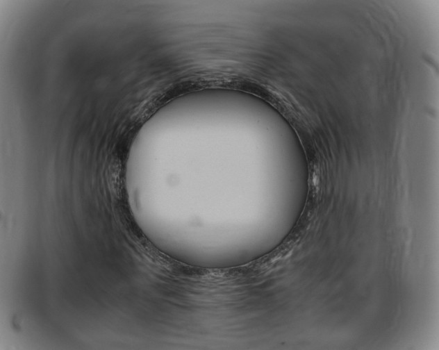 X0000097860867200803140854