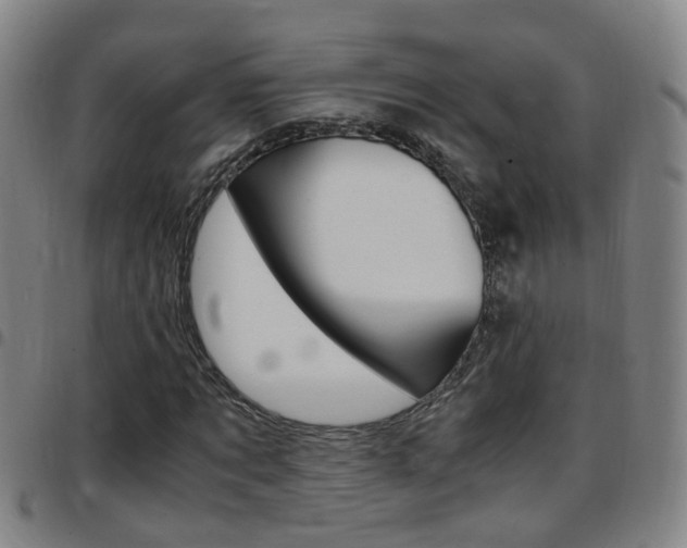 X0000097860869200803140854