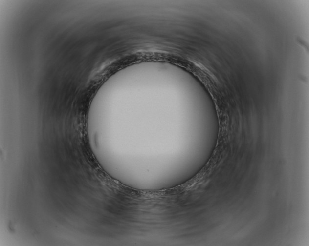 X0000097860870200803140854