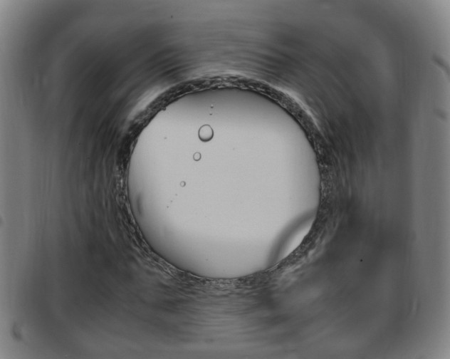 X0000097860871200803140854
