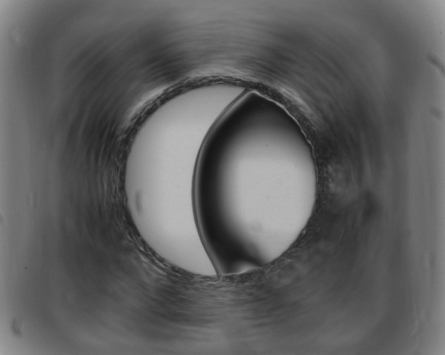 X0000097860872200803140854