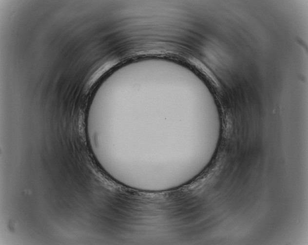 X0000097860874200803140854