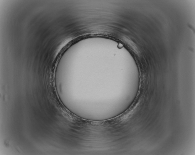 X0000097860875200803140854