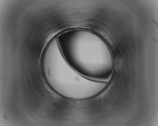 X0000097860876200803140854