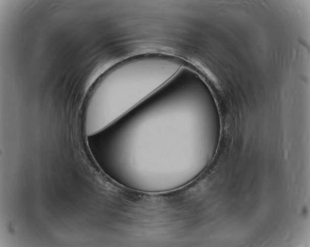 X0000097860877200803140854