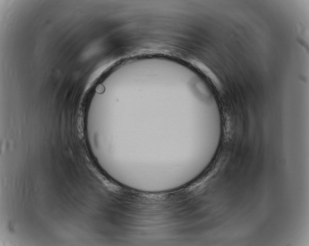 X0000097860878200803140854