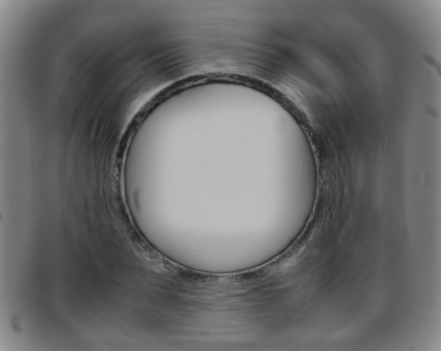 X0000097860879200803140854