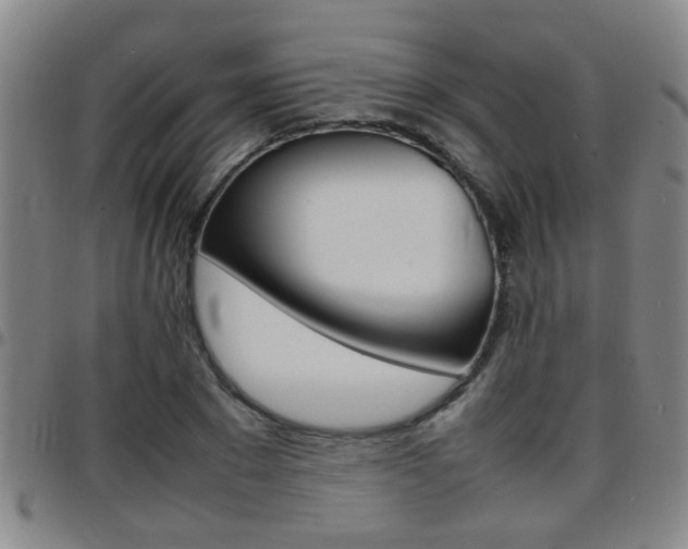 X0000097860881200803140854