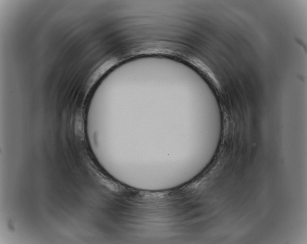 X0000097860882200803140854
