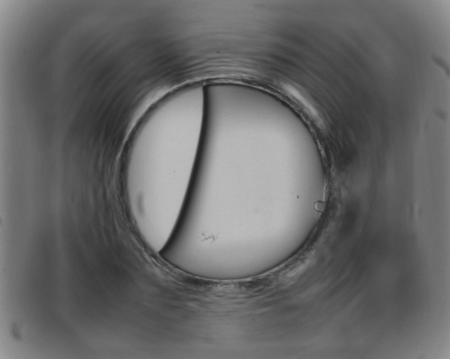 X0000097860883200803140854