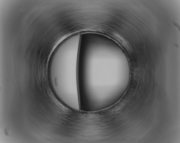 X0000097860884200803140854