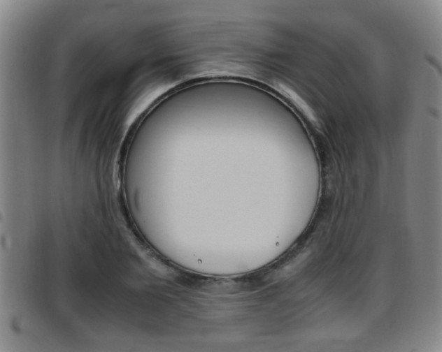 X0000097860885200803140854