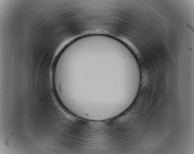 X0000097860886200803140854