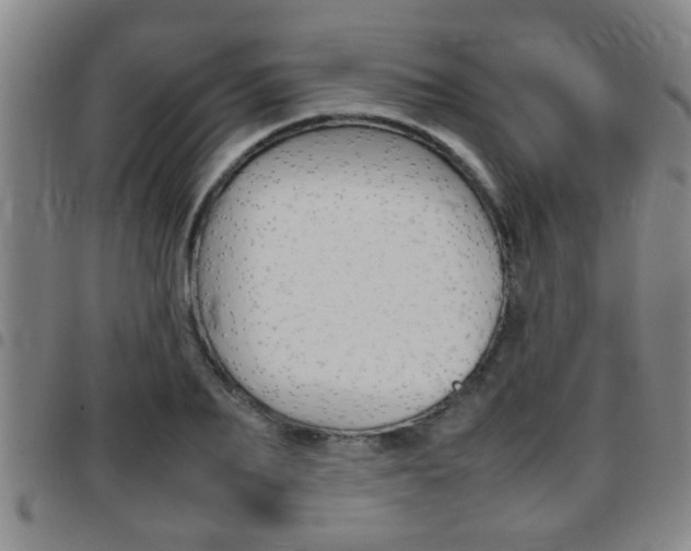 X0000097860887200803140854