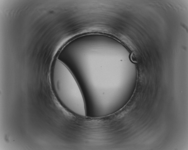 X0000097860888200803140854