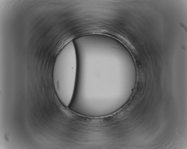 X0000097860889200803140854