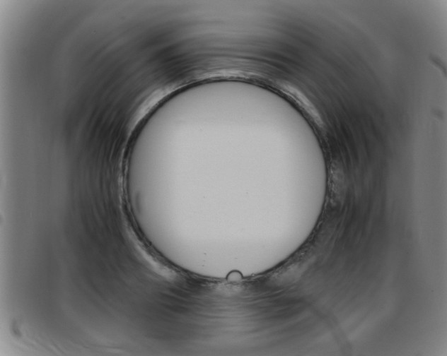 X0000097860890200803140854