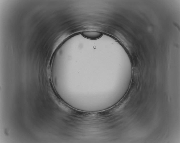X0000097860891200803140854