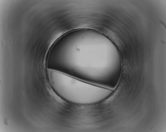 X0000097860892200803140854