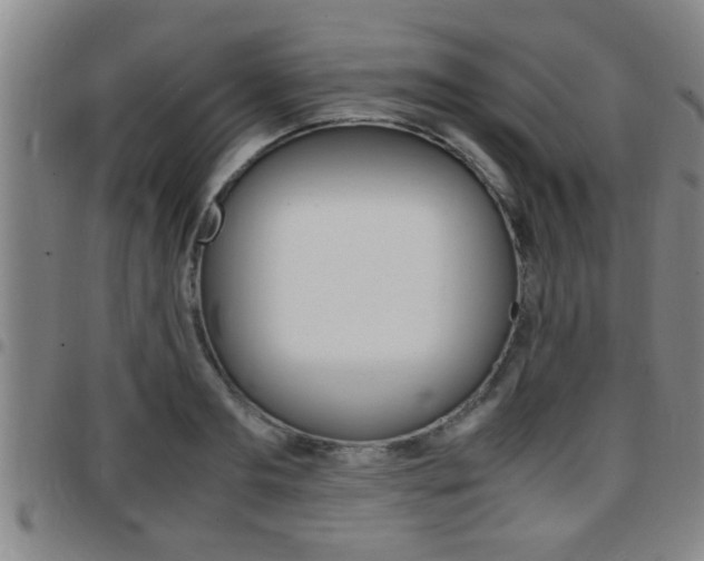 X0000097860893200803140854