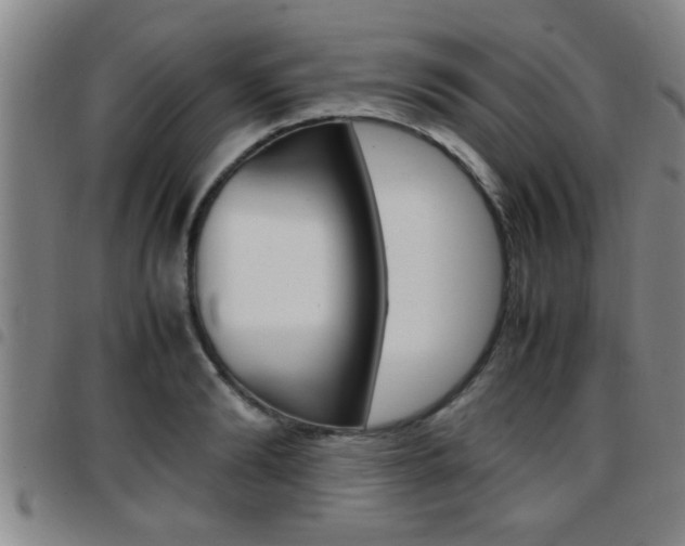 X0000097860894200803140854