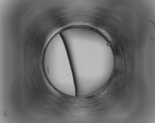 X0000097860895200803140854