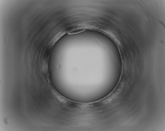 X0000097860897200803140853