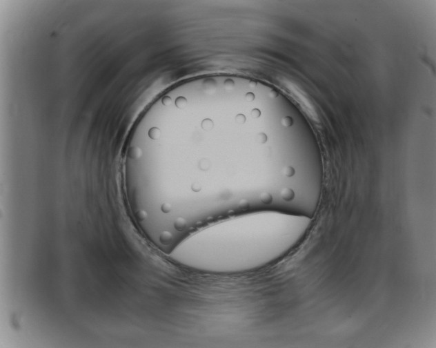 X0000097860899200803140853