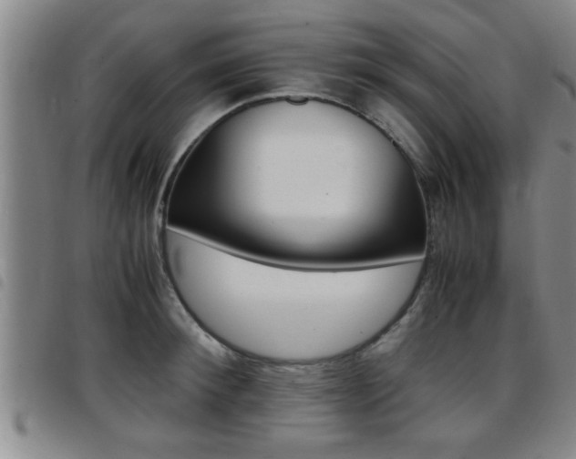 X0000097860900200803140853