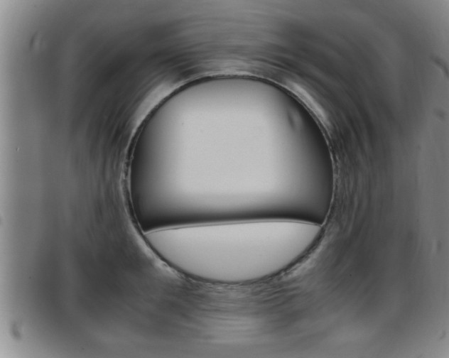 X0000097860901200803140853
