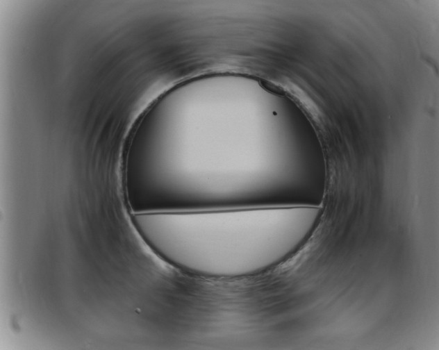 X0000097860902200803140853