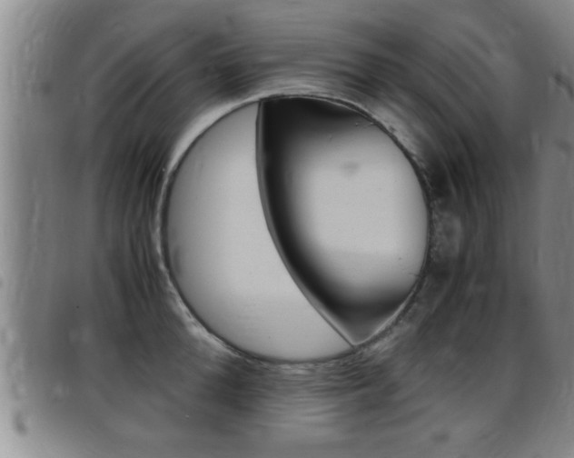 X0000097860904200803140853