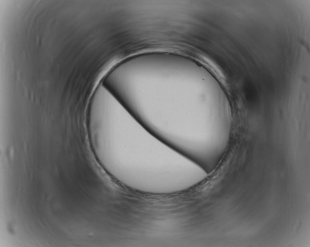 X0000097860907200803140853
