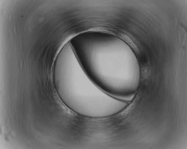 X0000097860908200803140853