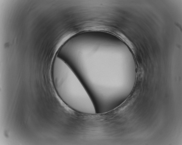 X0000097860909200803140853