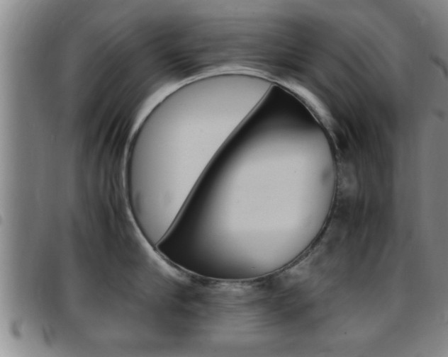 X0000097860910200803140853
