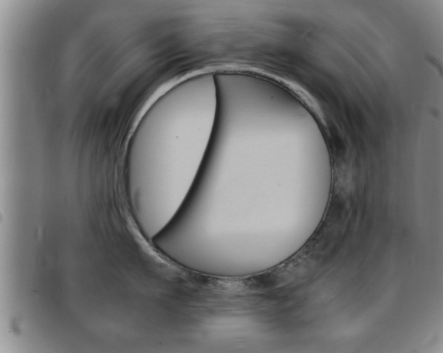 X0000097860911200803140853