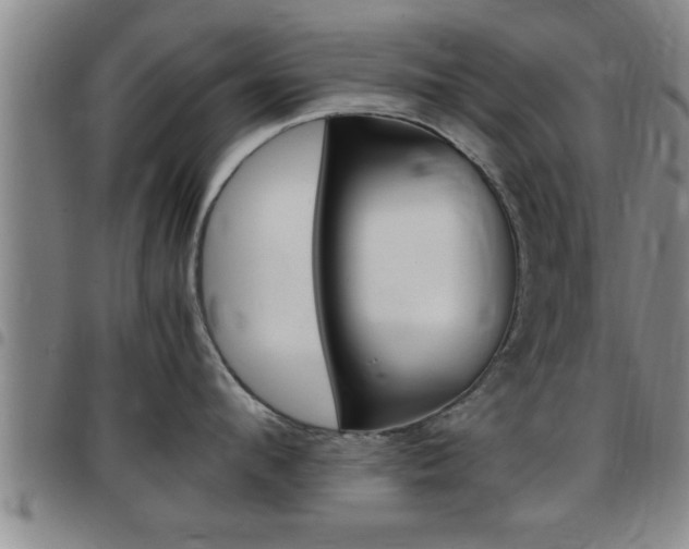 X0000097860912200803140853