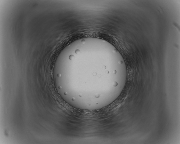 X0000097860913200803140853