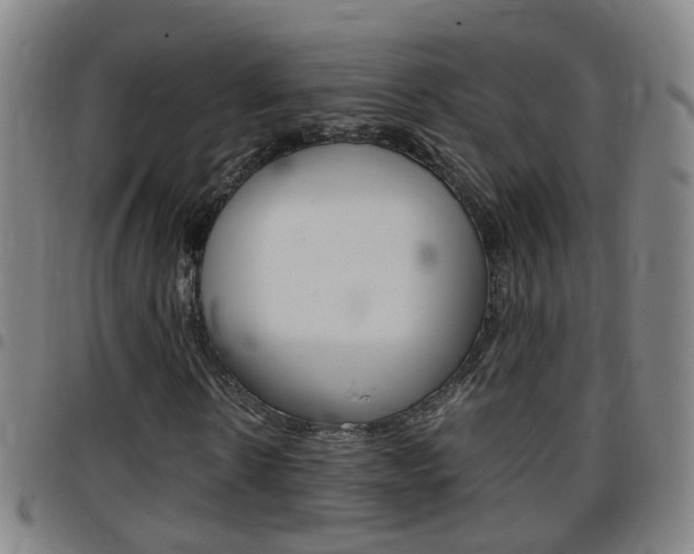 X0000097860914200803140853