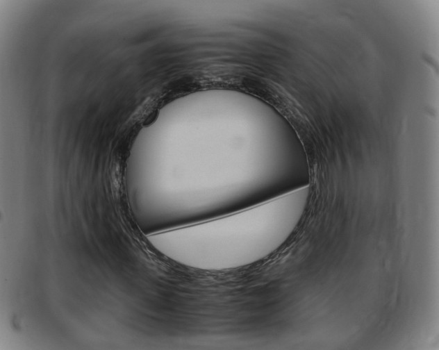 X0000097860915200803140853