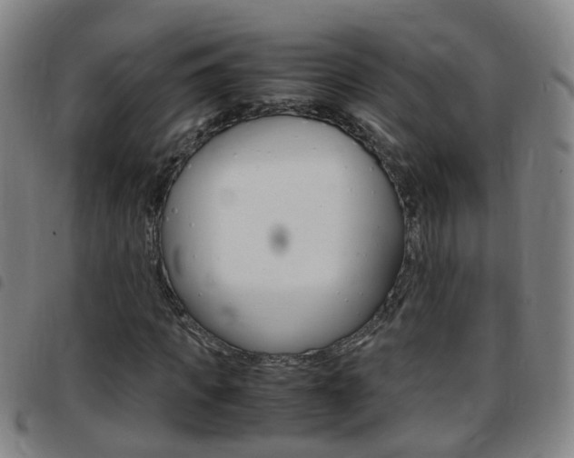 X0000097860917200803140853
