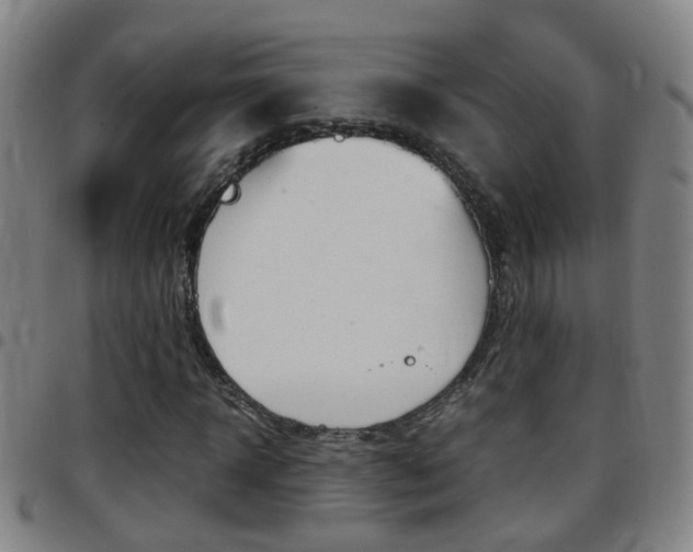 X0000097860918200803140853