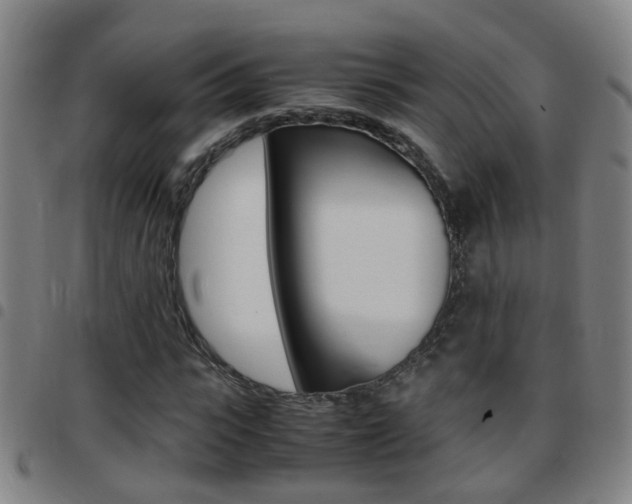 X0000097860919200803140853