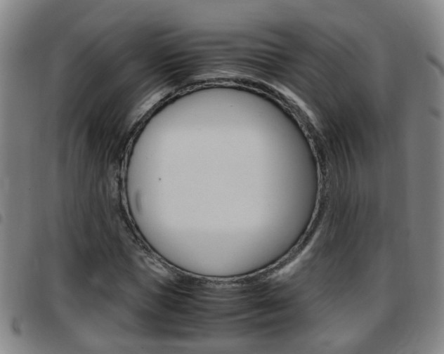 X0000097860921200803140853